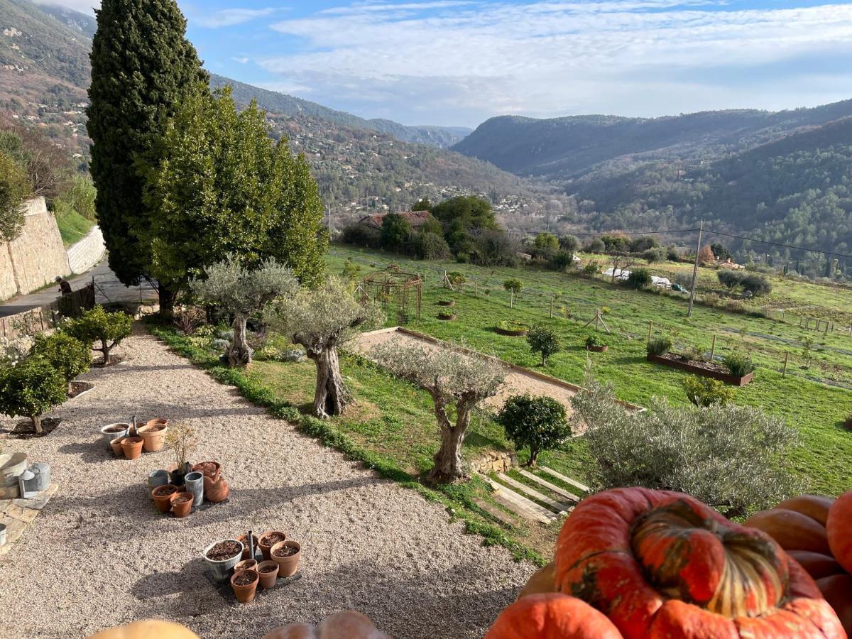 Hotel Particulier Des Jasmins Le Bar-sur-Loup Exteriör bild