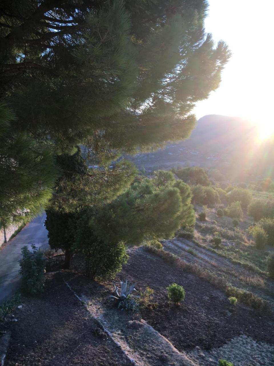 Hotel Particulier Des Jasmins Le Bar-sur-Loup Exteriör bild